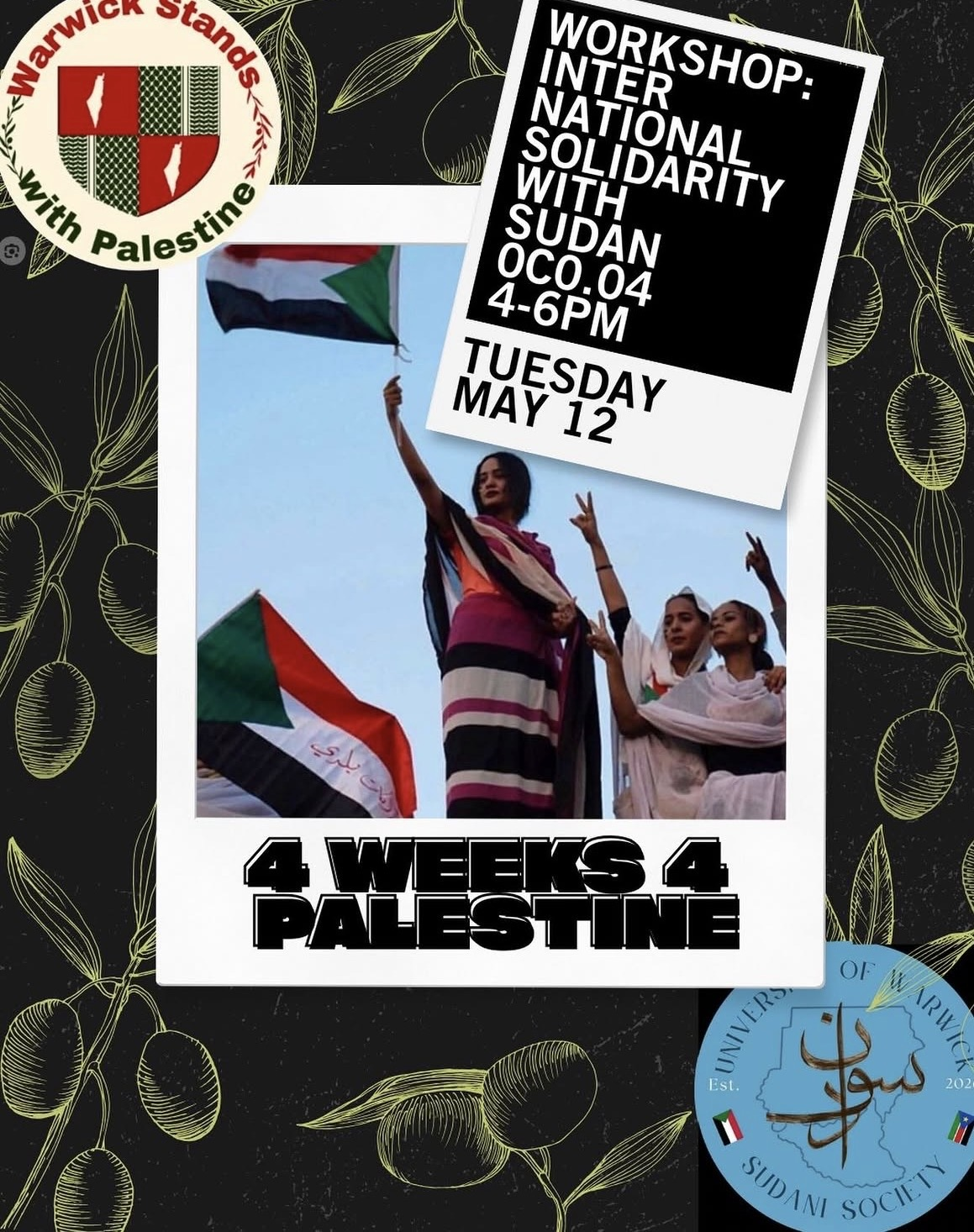 International Solidarity with Sudan workshop poster